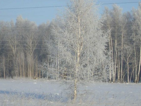 Зимний наряд_Пейзаж