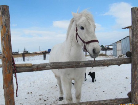 Ушакова Арина_2014_Портрет